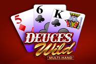Deuces Wild Multi-Hand